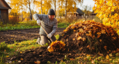 Садоводы скрывают этот способ: как превратить опавшие листья в чёрное золото за 8 месяцев