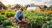 Опытный садовод раскрыл сентябрьский ритуал: три простых действия, и сорняки больше не вернутся