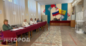 Явка на выборах главы Чувашии составила 55%