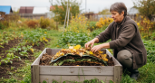 Почему опытные садоводы тайком добавляют в компост то, что вы выбрасываете в мусор