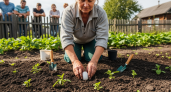 Закопала сырое яйцо в грядку — урожай увеличился на треть, а соседи требуют раскрыть секрет