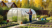 Пять тайных этапов осенней обработки теплицы - садоводы со стажем никогда не нарушают эту последовательность