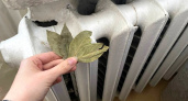Положила лавровый лист на батарею — через час муж спросил, что изменилось в доме