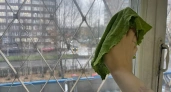 Хозяйки годами скрывали этот секрет: 2 чайных пакетика растворяют грязь на окнах так, что стекла остаются чистыми полгода