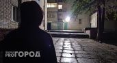Воровку из Новочебоксарска могут отправить лечиться от алкоголизма