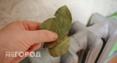 Когда включают отопление, раскладываю лавровый лист по батареям – через час даже соседи спрашивают, что я делаю