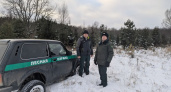 В Чувашии ввели круглосуточное патрулирование лесов для защиты елок от браконьеров
