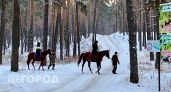 Новочебоксарцев ждут соревнования по конному спорту