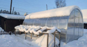 Пленка и поликарбонат уходят в прошлое: дачники переходят на другой материал — теплица на 40 лет без конденсата