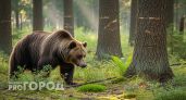 В чувашских лесах вернулся хозяин, которого хоронили еще при Горбачеве