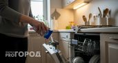 Выбросила дорогие таблетки для посудомойки и перешла на копеечный порошок: результат превзошел ожидания