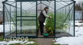 Забудьте про пленку и поликарбонат: этот материал для теплиц не требует замены целых 30 лет