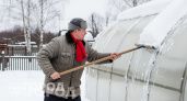 Старый способ, который спасает теплицы от поломки каждую зиму – спасаю от снега легко