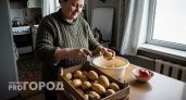 Не сорт, а сокровище: этот картофель переживает любое лето и лежит до нового урожая – 20 клубней с куста и ноль хлопот