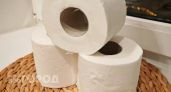 Пора прощаться с туалетной бумагой: зачем Европа массово отказывается от рулонов