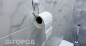 Наша семья перестала покупать туалетную бумагу: проверили европейский способ – удобнее и чище