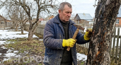 Ржавый гвоздь в дереве: зачем деревенские жители забивают его весной