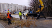 В Ельниковской роще приступили к обрезке деревьев