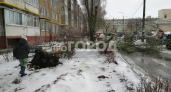 В Новочебоксарске во дворе многоквартирного дома непогодой свалило большое дерево