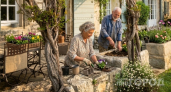 Почему у французских пенсионеров дачи скромнее, но выглядят дороже наших коттеджей: увидела и поняла главное