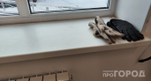 Вкрутил эту мелочь в окна — о грязи и пыли забыл на год: установщики скрывают эту секретную деталь