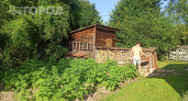 Синяя напасть на даче: куда деть бочки, чтобы они не портили вид участка — вот как спрятать их