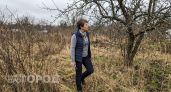 План восстановления заросшего участка от вырубки старых деревьев до первых посадок кабачков и зелени