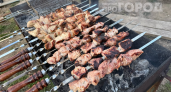 В Аргентине мясо жарят часами, а в Японии — используют куриные сердечки: 15 способов приготовить шашлык
