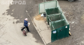 Не бросайте это в общий мусорный бак — прилетит штраф до 20 тысяч: за что теперь наказывают на дачах 
