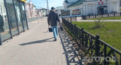 Ходьба больше не в лидерах: ученые назвали нового фаворита здоровья - простой ритуал для глубокой старости
