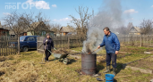 Старая бочка на даче — не хлам, а сокровище: вот что из неё можно сделать — соседи обзавидуются
