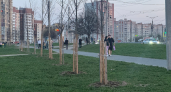 14 мая в Чувашии потеплеет до +26 градусов — дождь не помеха