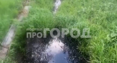 Мазут второй день течёт в пруд деревни Хозандайкино: под угрозой Волга