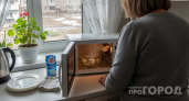 Микроволновую печь можно отмыть без жесткой химии и царапин: как убрать жир, вонь и налет – без вреда для камеры