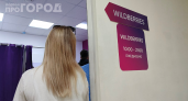 Больше никакой бесплатной доставки: что изменится на Wildberries и Ozon с 2026 года — готовьте кошелёк