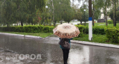 В Чувашии 27 мая потеплеет лишь до +14: дождь и сильный ветер