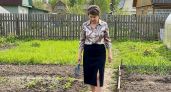 Чем пролить землю после уборки картофеля чтобы фитофтора не погубила помидоры в следующем году
