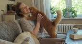 Кошка лезет "целоваться": зоопсихологи рассказали, что на самом деле означает этот жест