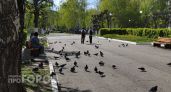 Несколько школ Чувашии перейдут на обучение на русском и чувашском языках