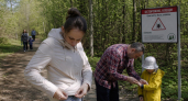 Две капли — и клещи вас не почуют: в лес можно идти хоть в тапочках