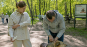 Две капли на одежду — и клещи обходят за версту: средство мощнее любого репеллента
