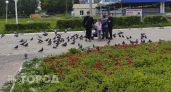 Почти 15 тысяч новочебоксарцев проголосовали за обновление городских территорий