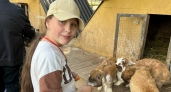 Юные новочебоксарские художники посетили Свияжск и ферму альпак