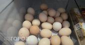 Не берите эти яйца в магазине: так выглядит упаковка, которую лучше обходить стороной