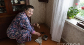 Зачем бабушка рассыпала по углам гвоздику: простой способ избавиться от мошек и муравьев - сгинут моментом