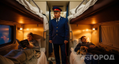 РЖД показали плацкарт будущего: что изменилось в новом вагоне и почему о нём уже говорят