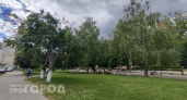 В Новочебоксарске 26 июня северный ветер принесет кратковременные дожди и прохладу
