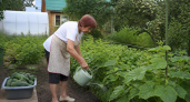 Найдено идеальное решение, чем закрыть дорожки между грядок в огороде - бюджетный способ, и сорняки больше не надоедают