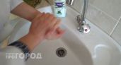 Популярные чистящие средства признали опасными для дома: эксперты показали, чем можно заменить их без вреда для здоровья
