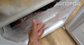 Закинула огурцы в морозилку — а зря: рассказываю, какие продукты там только портятся